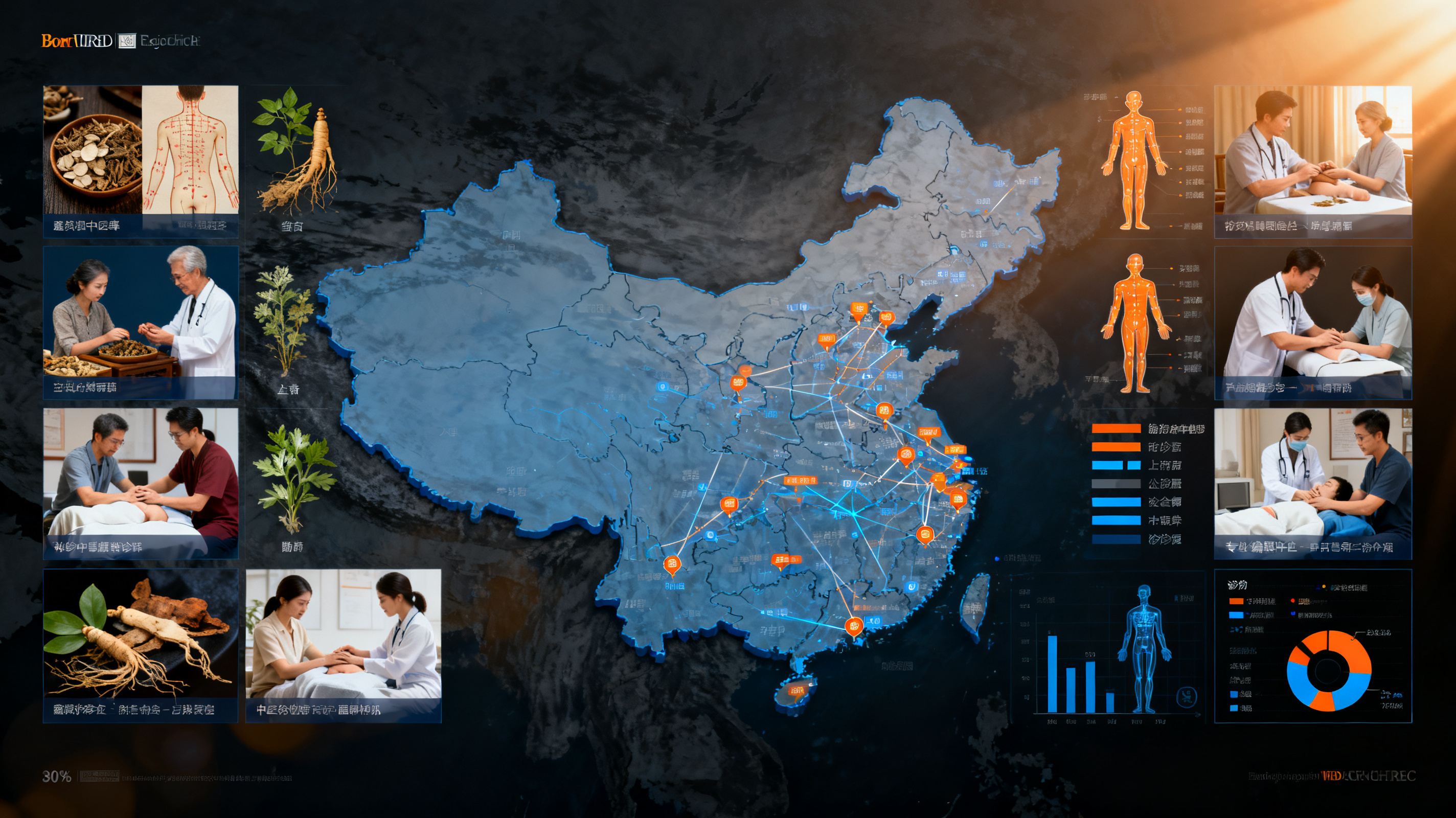 2030年人人享中医药服务‌，现存中医相关企业超207万家