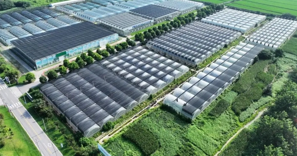 5个破棚击穿亿元神话:空壳农业园以高价发包收割施工队的空手道